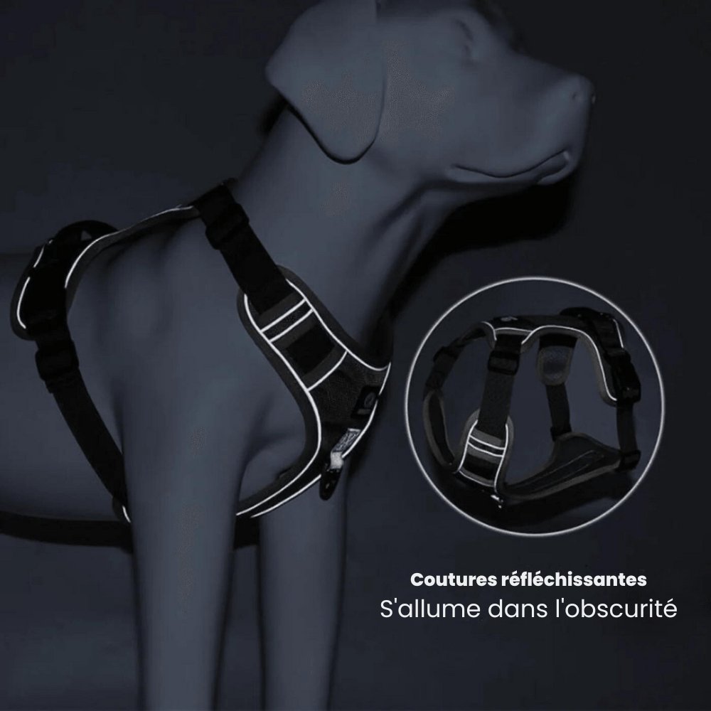 Ultimate No-Pull Dog Harness for Stress-Free Walks