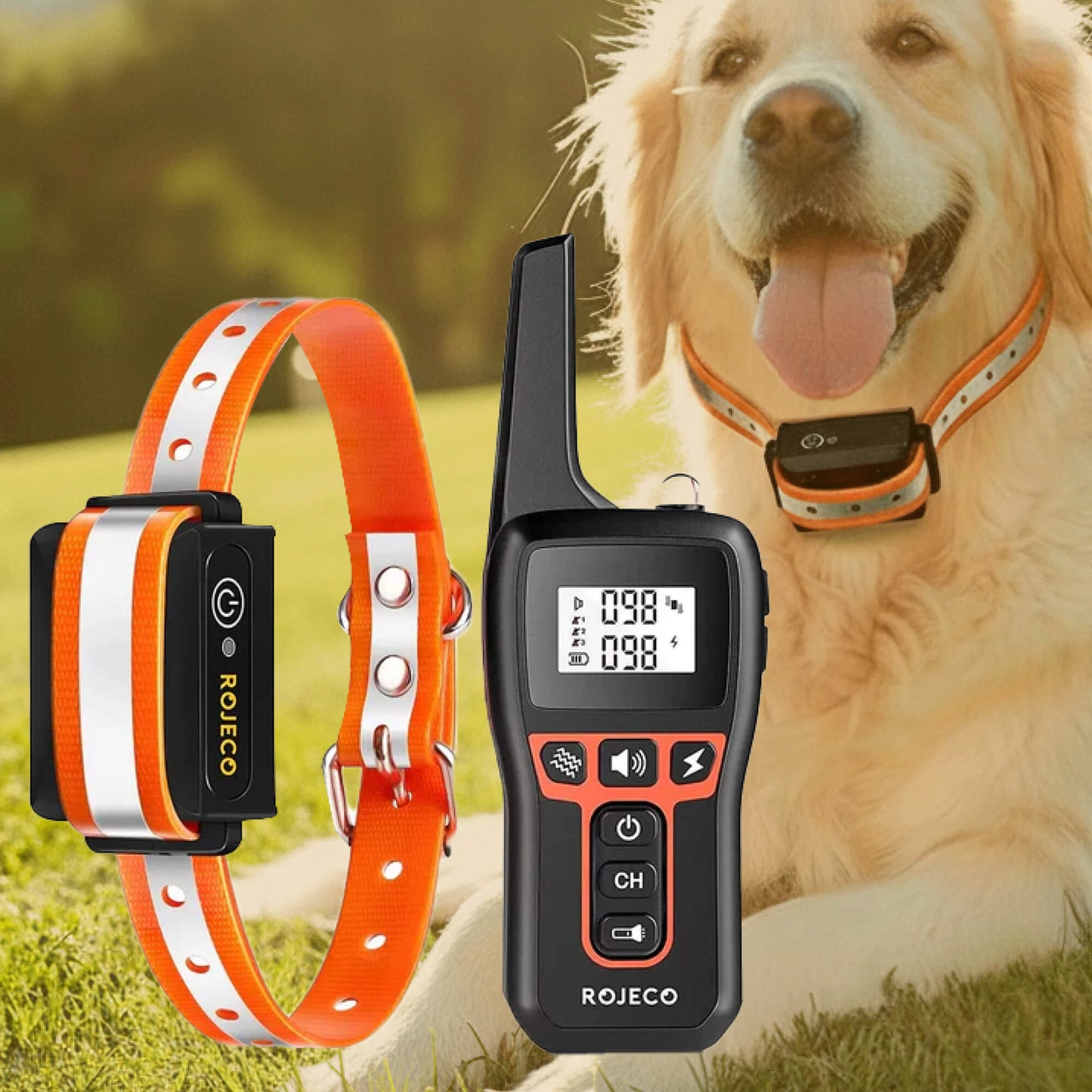 1000m Waterproof Dog Training Collar with Remote, Rechargeable & Adjustable