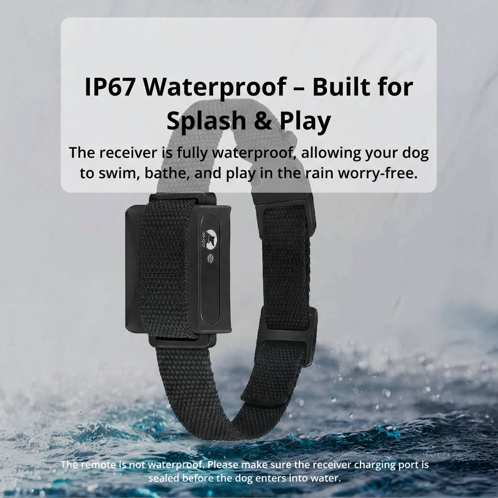 1000m Waterproof Dog Training Collar with Remote, Rechargeable & Adjustable