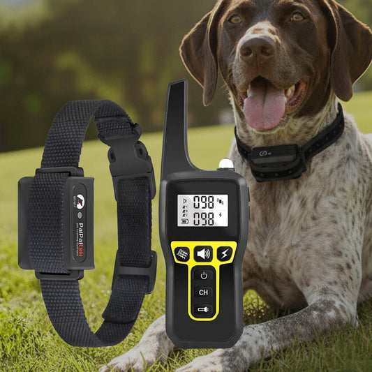 1000m Waterproof Dog Training Collar with Remote, Rechargeable & Adjustable