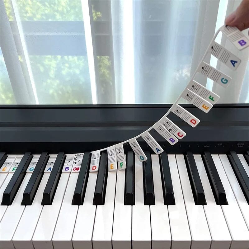 Removable Piano Key Labels for Beginners