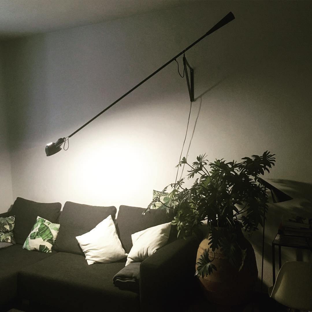 Model 265 Adjustable Wall Light Fixture