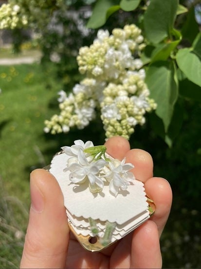 Compact Flower Press for Botanical Keepsakes | Portable Crafting Tool