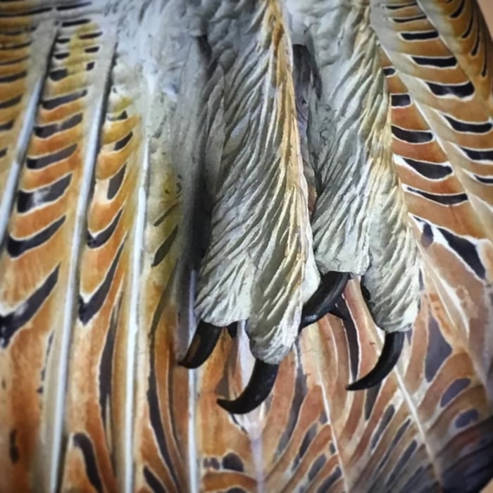 Majestic Owl Wooden Wall Art - Rustic Home Decor
