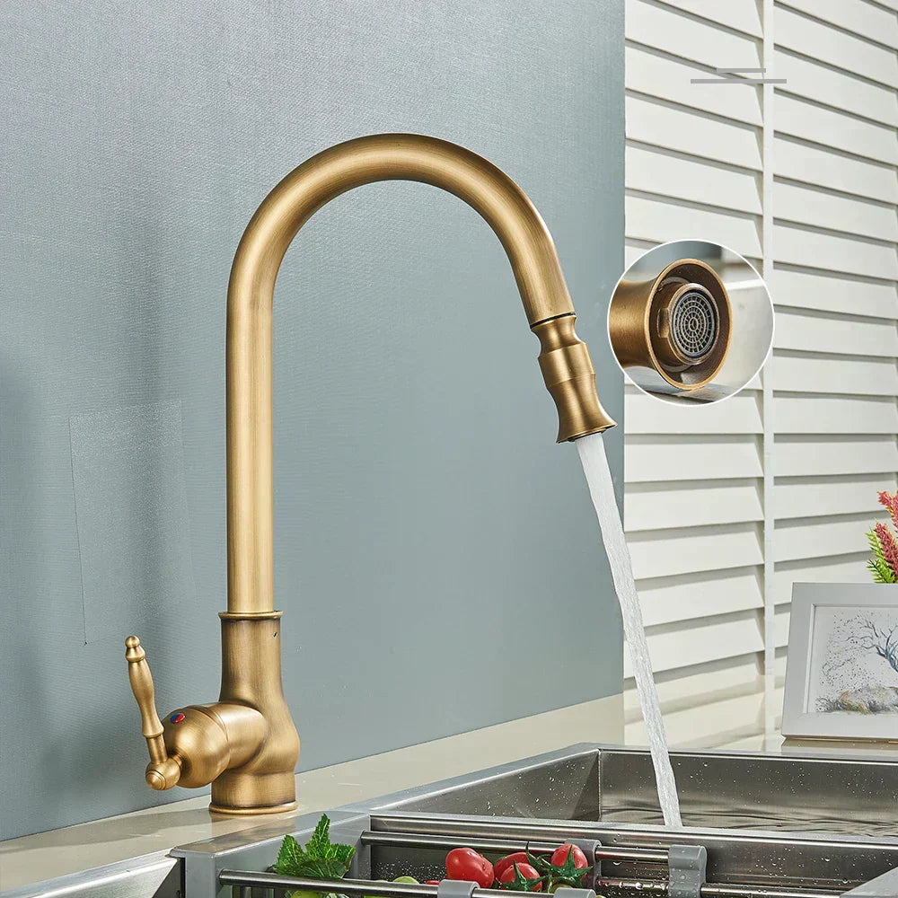 Antique Brass Retro Kitchen Faucet with Swivel Spout