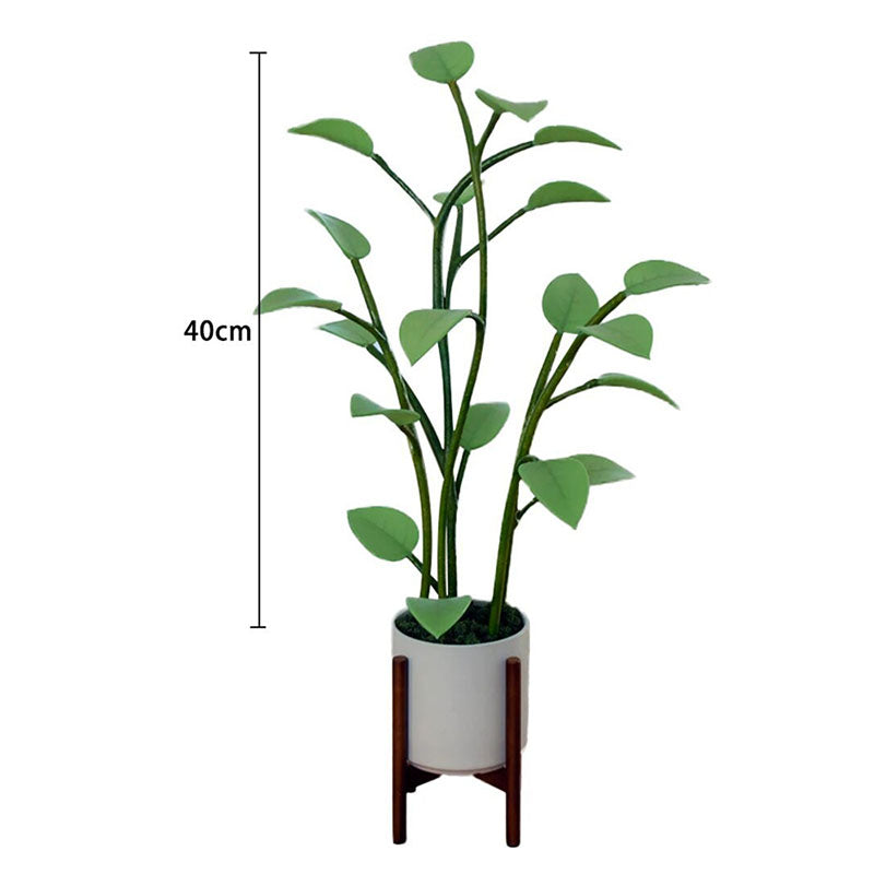 Luminous Bloom | Enchanted LED Plant Light