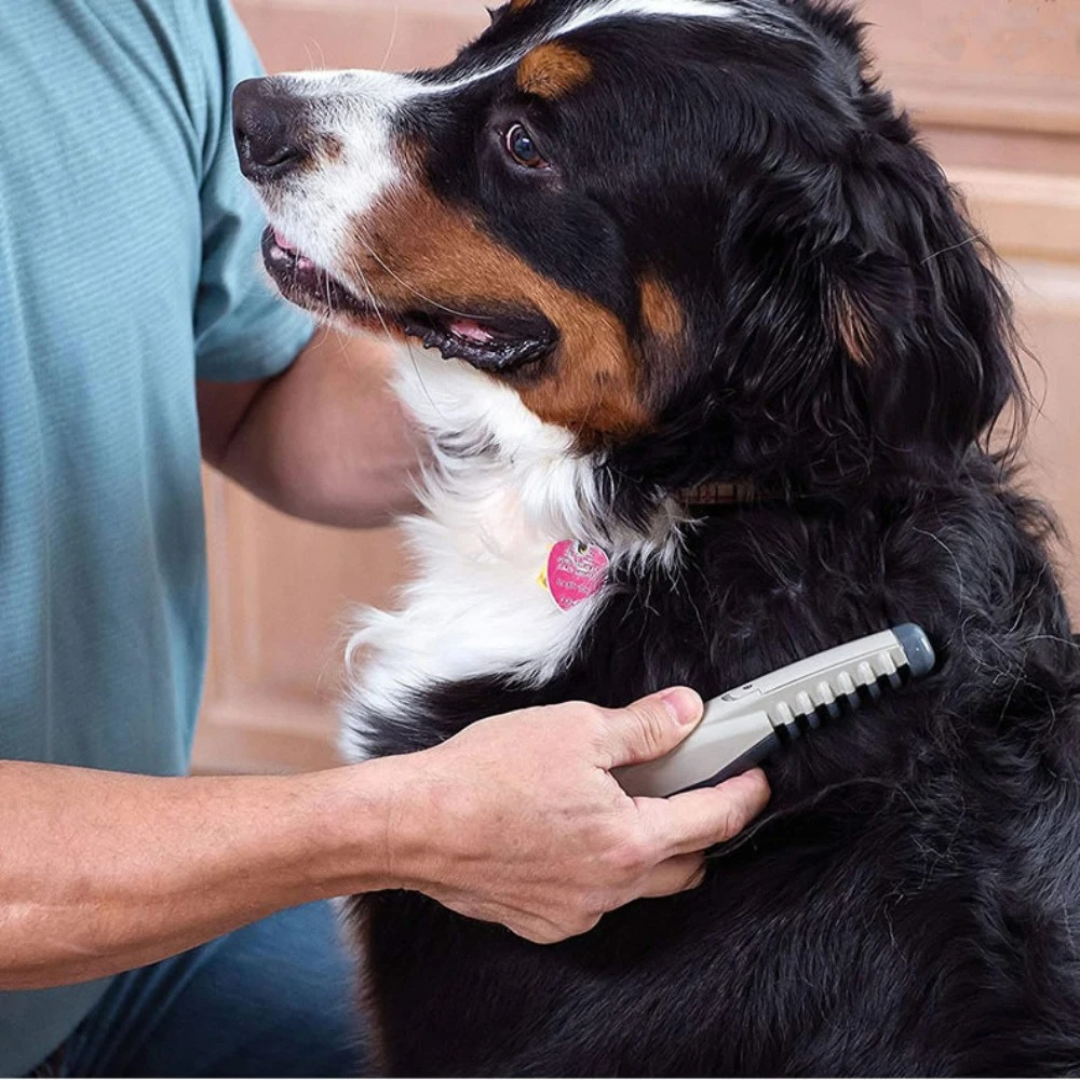 Pet Grooming Comb for Tangles & Knots Removal