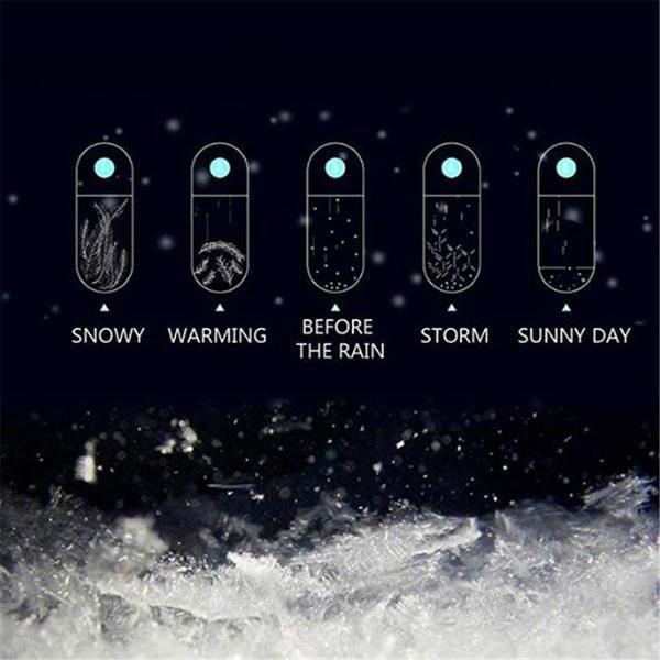 Storm Glass Weather Predictor with Crystal Barometer and Wooden Stand