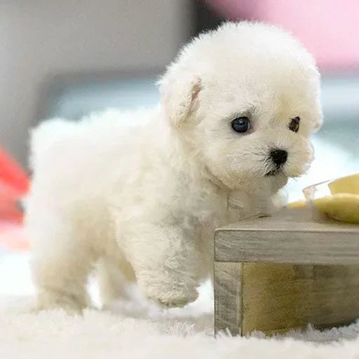 Smart CuddlePup Robot Dog Toy | Ideal for Kids & Seniors Gifts
