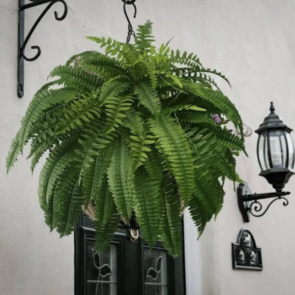 UV-Resistant Faux Boston Fern with Adjustable Stems