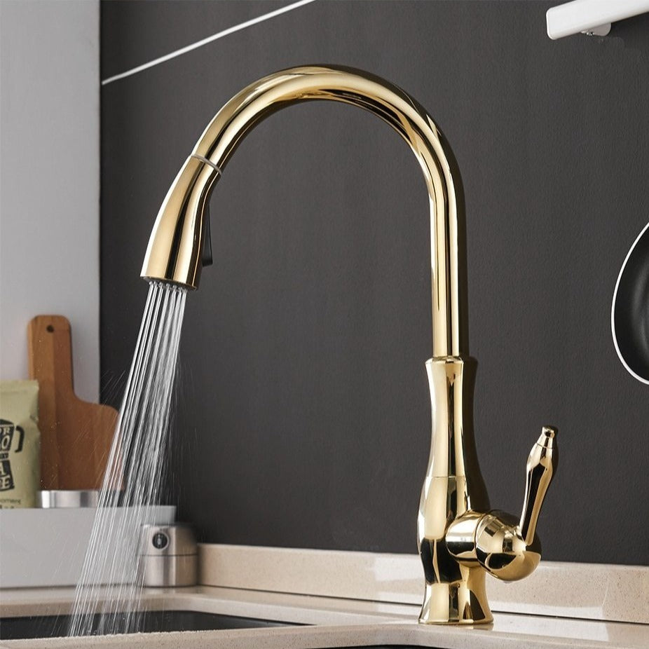 Modern Stainless Steel Pull-Out Kitchen Faucet with 360° Swivel and Spray Head