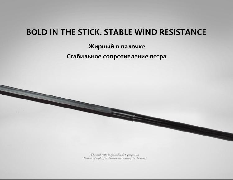 Automatic Windproof Classic English Umbrella with Premium Design