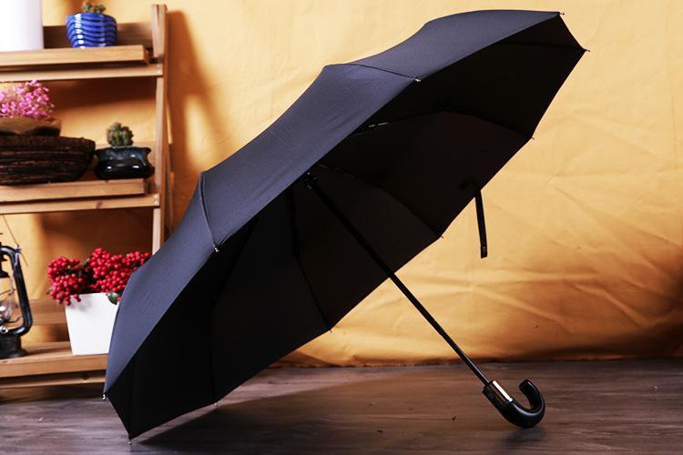 Automatic Windproof Classic English Umbrella with Premium Design