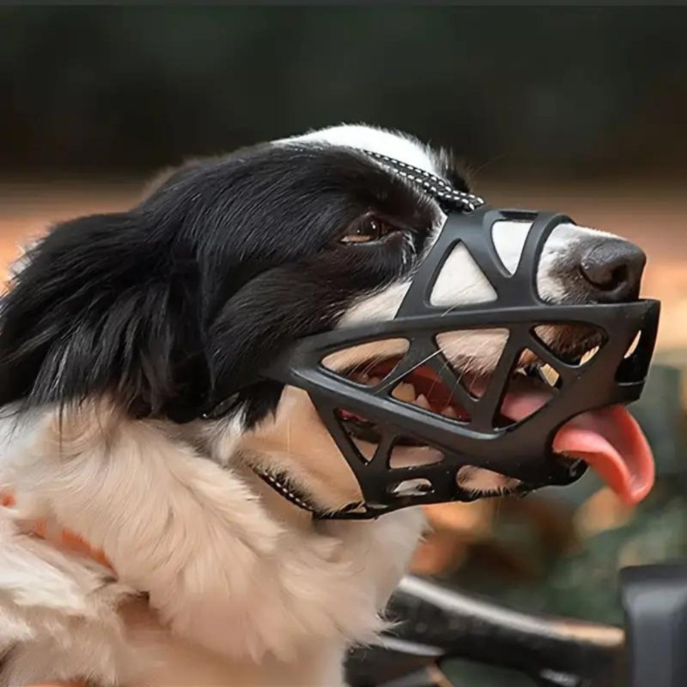 Dog Muzzle for Bark and Bite Control