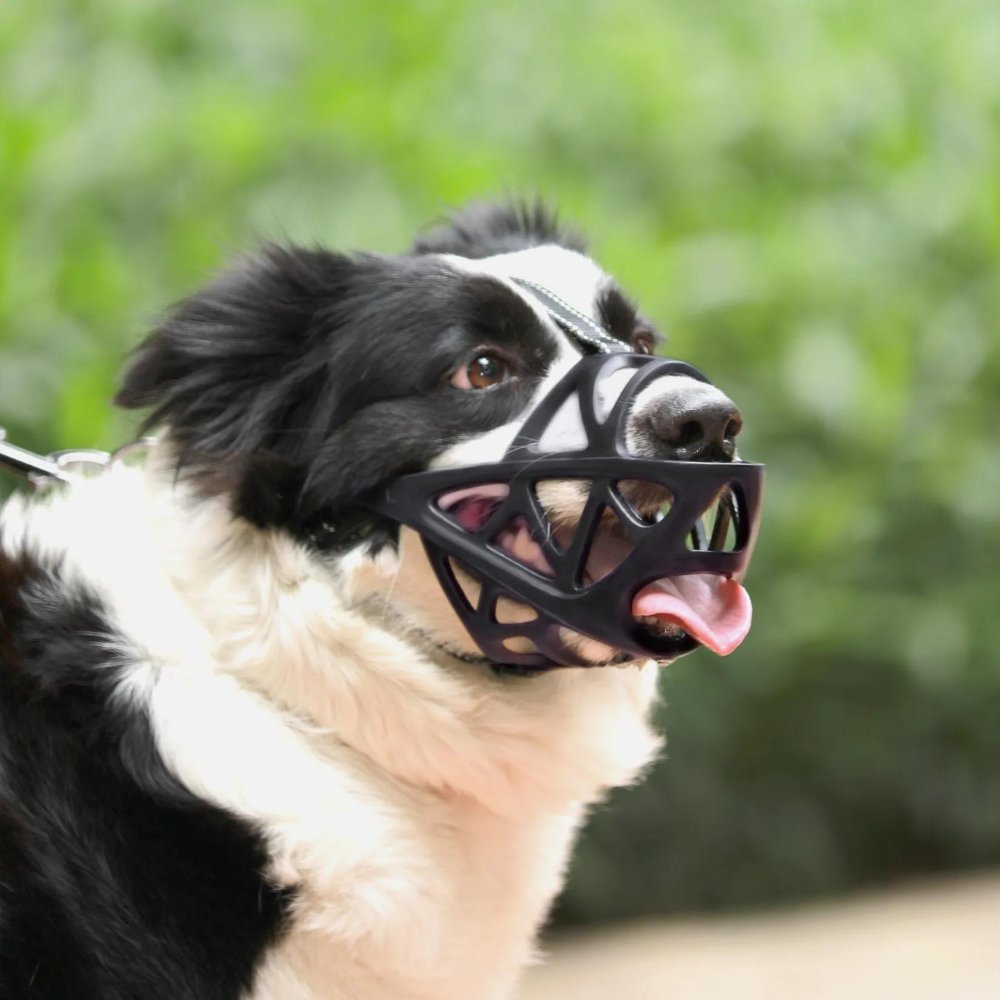 Dog Muzzle for Bark and Bite Control