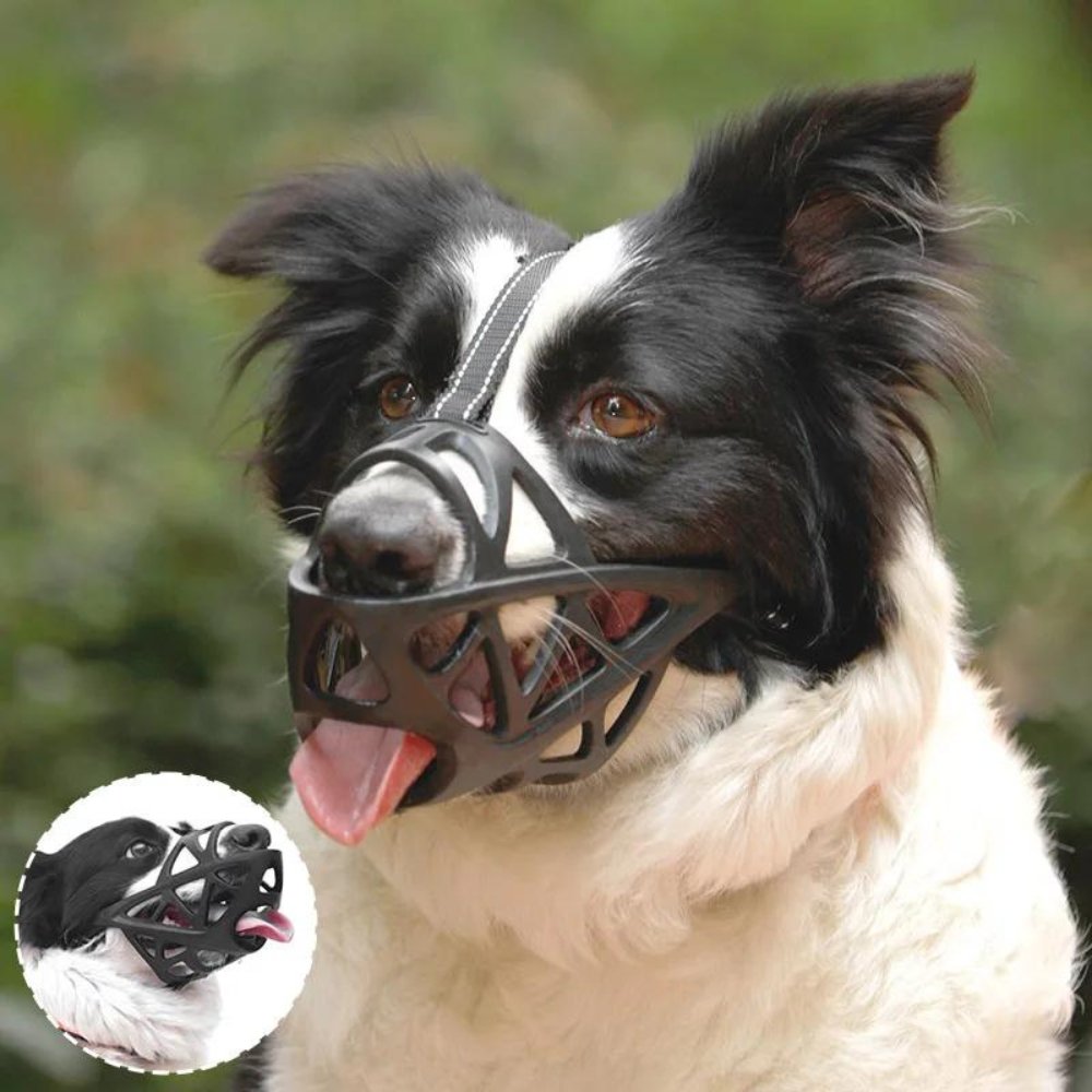 Dog Muzzle for Bark and Bite Control