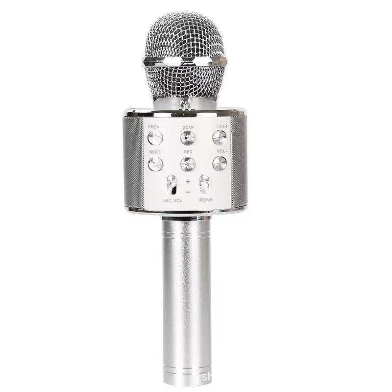 Sing Anywhere: Wireless Karaoke Microphone for Ultimate Singing Fun
